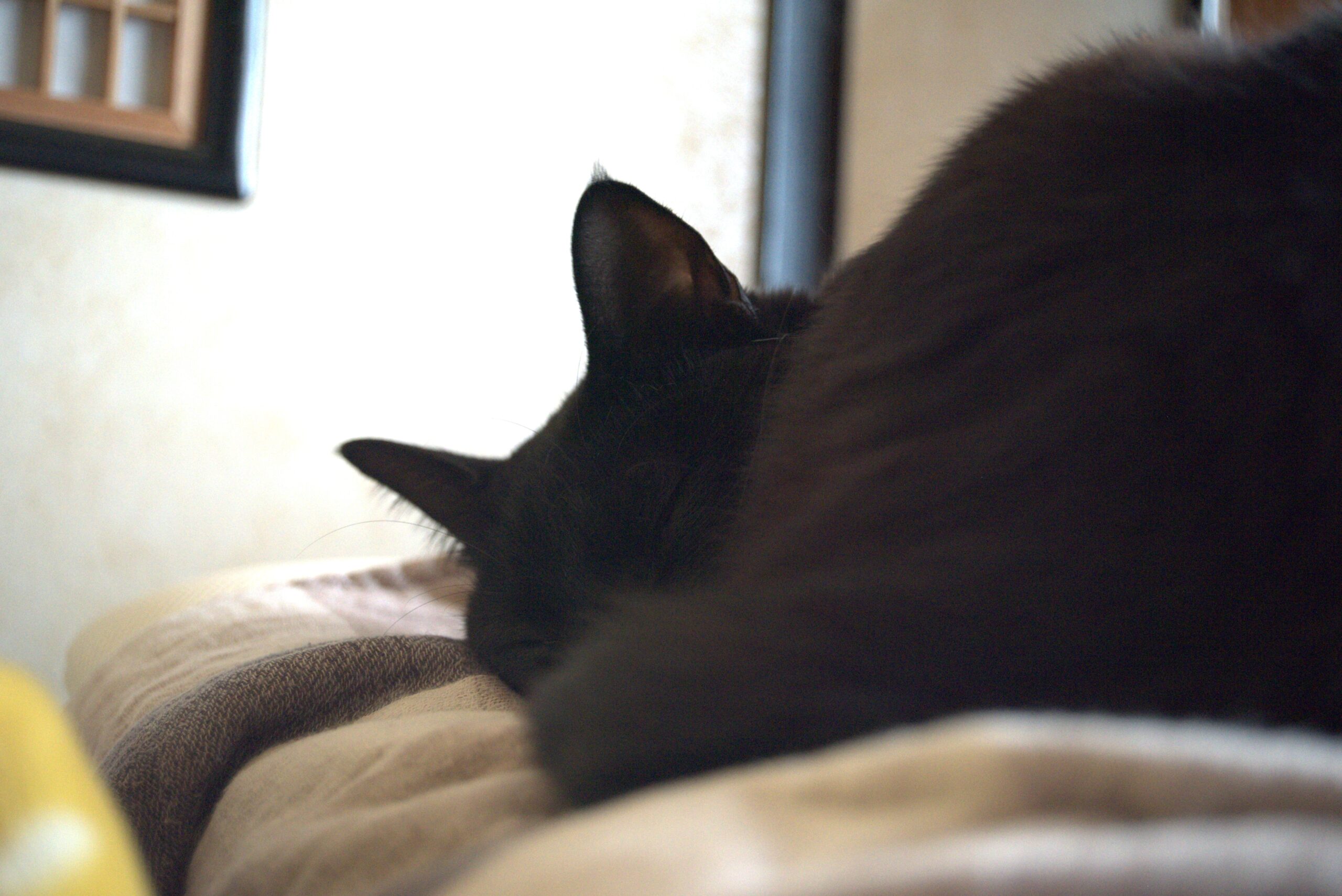 山口智巳のポートフォリオサイト、現在引越中。キービジュアル その2