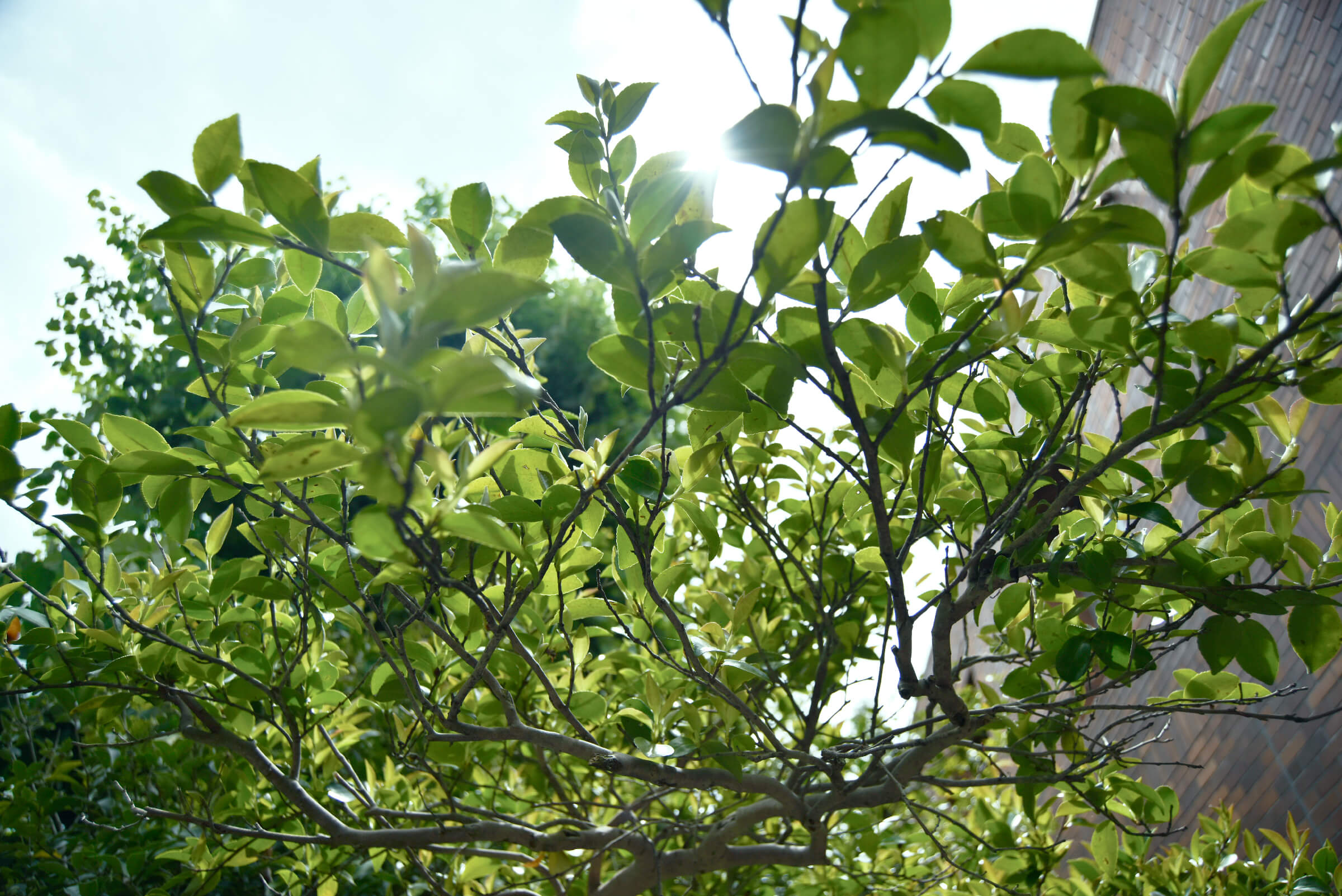 山口智巳のポートフォリオサイト、現在引越中。キービジュアル 250510_01